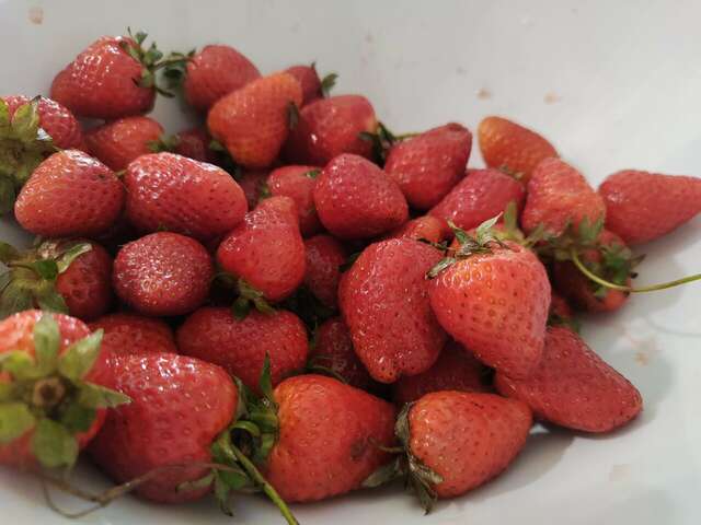 Гостиница Золотые Дюны Витязево-50